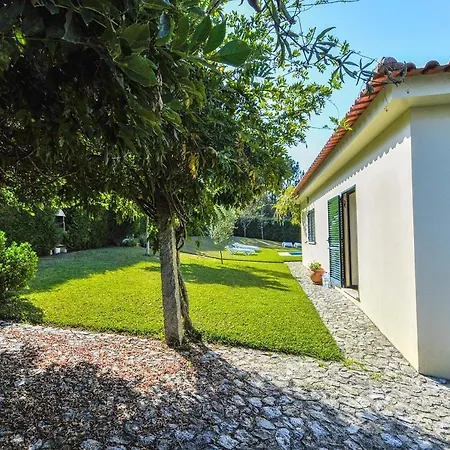 Floresta * Caminha